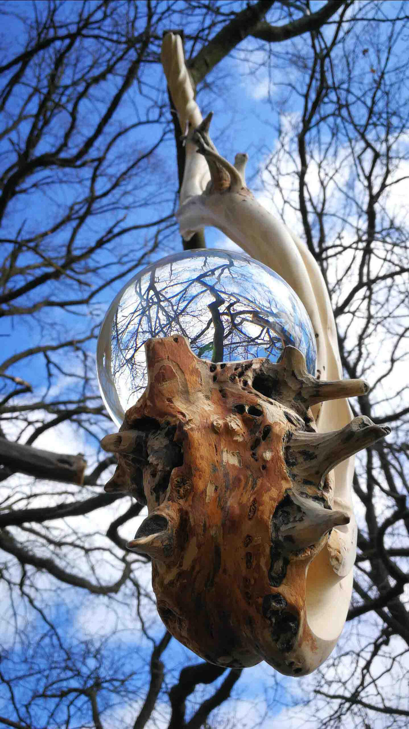 MAYPOLE SYMBIOSIS 2021