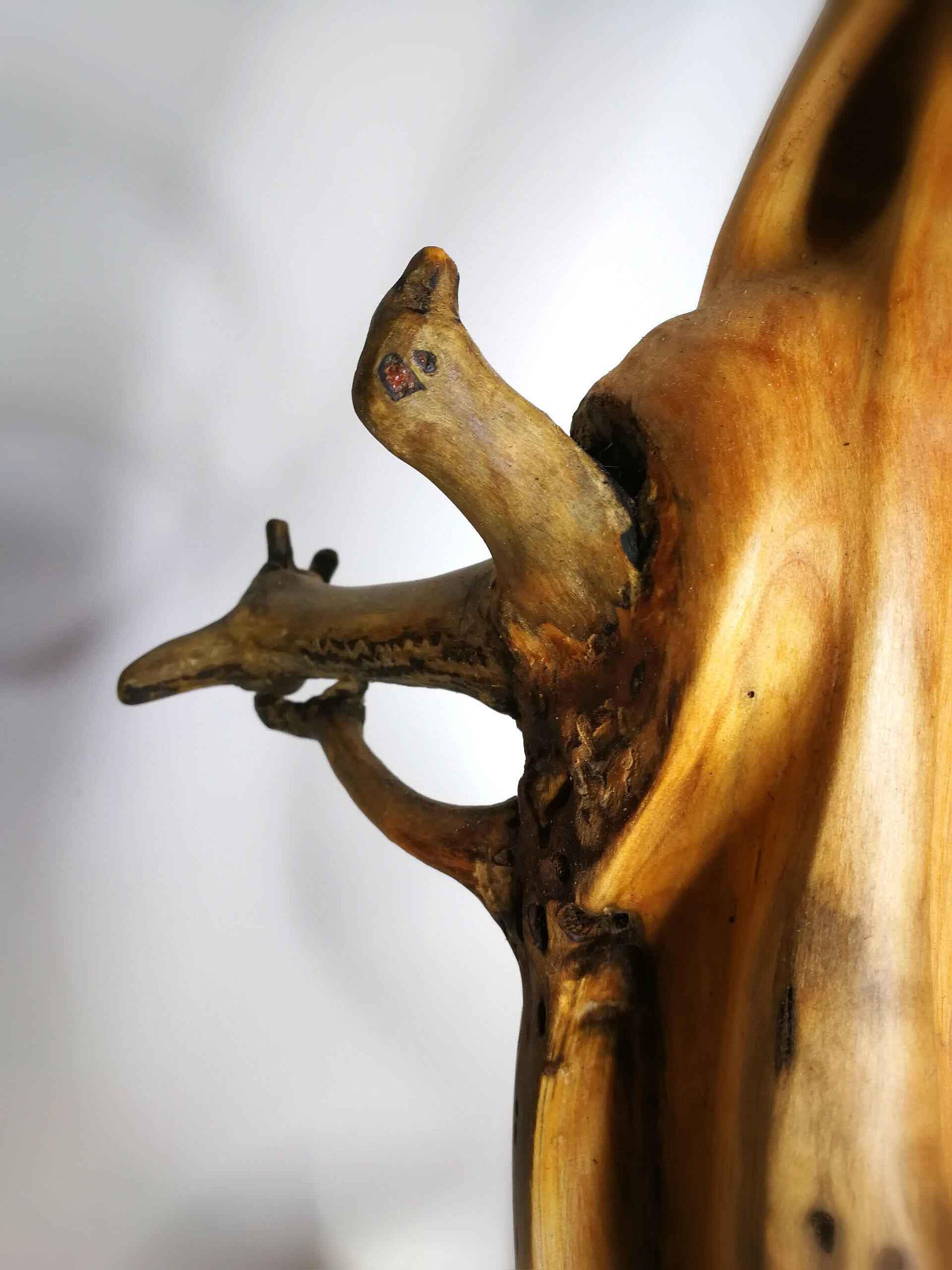 MAYPOLE SYMBIOSIS DETAIL MISTLETOE