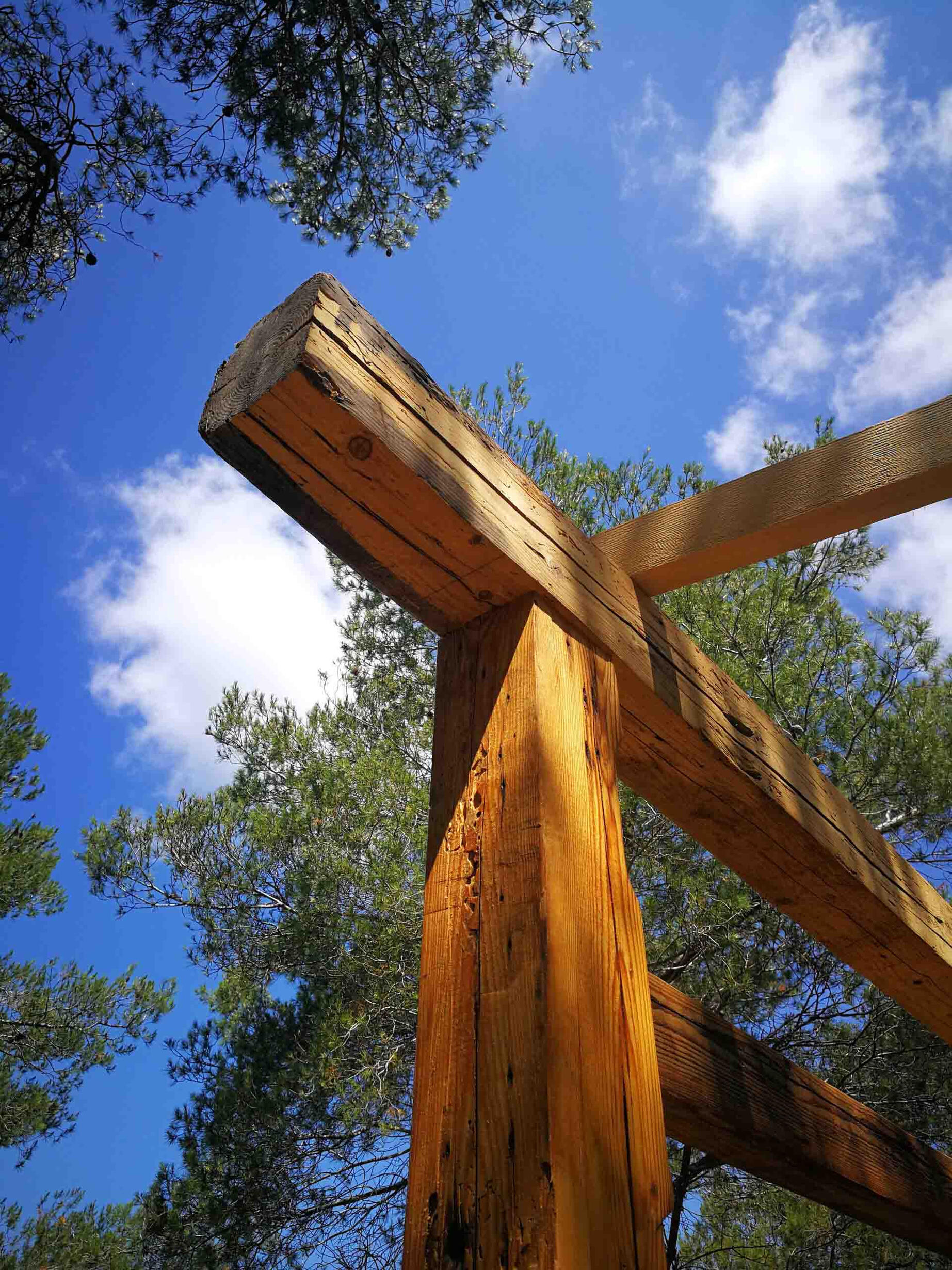 STRUCTURE FOR DRAGONHUT 2023